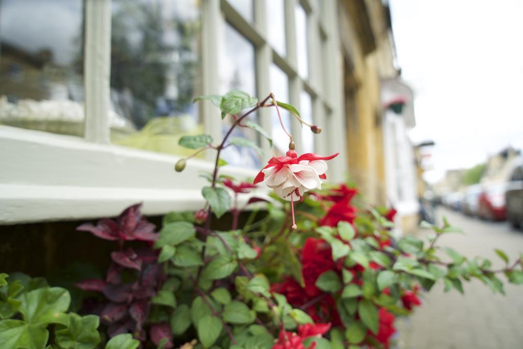 Badgers Hall Chipping Campden Exterior foto